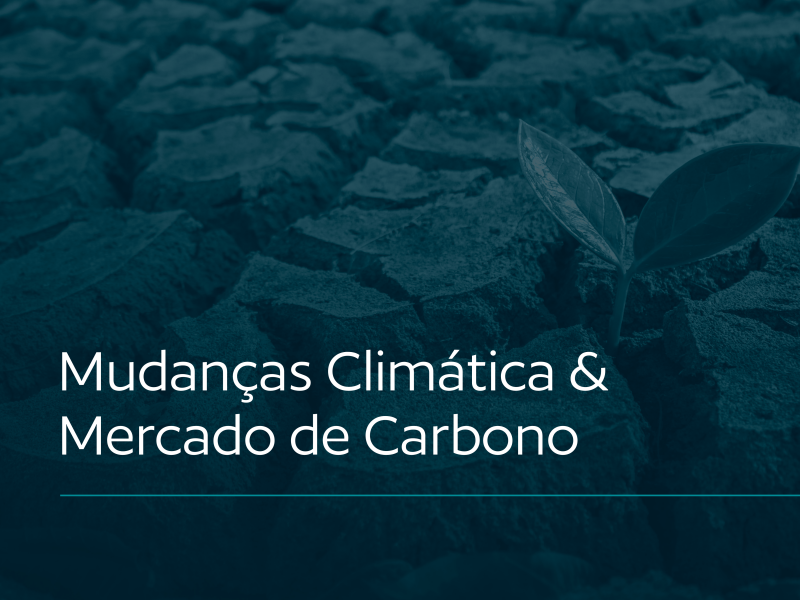 mercado regulado de carbono